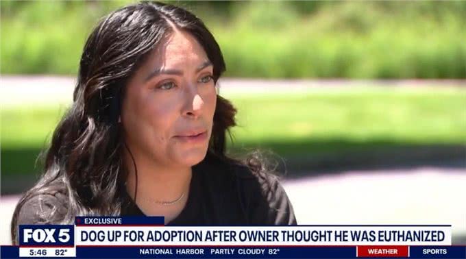 美国妹子忍痛让重病狗狗安乐死，一年后狗狗不仅活着，还在等领养