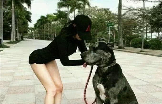 狗狗有这6个特点，说明性格棒