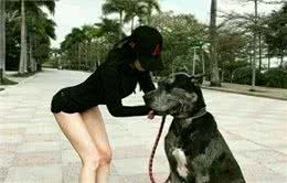 狗狗有这6个特点，说明性格棒