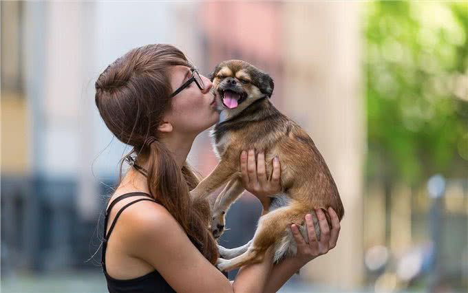 其实在狗眼中,你忽然抱起它,有这些含义!