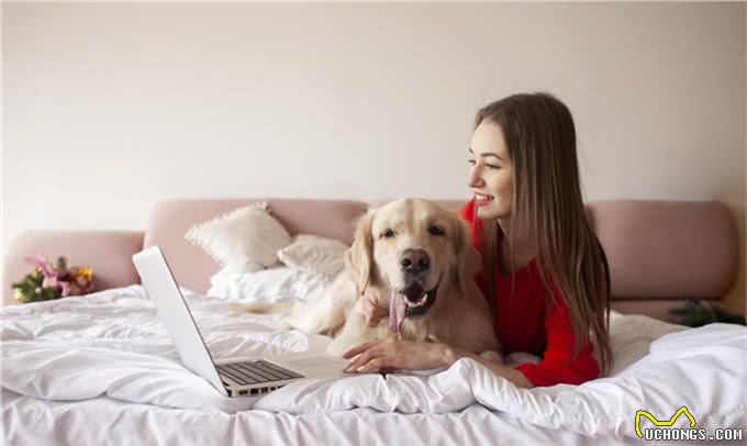 让狗上床睡觉很脏?兽医揭秘:脏不脏,看这里!