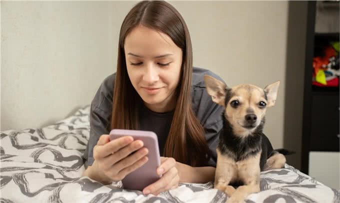 让狗上床睡觉很脏?兽医揭秘:脏不脏,看这里!