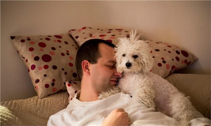 让狗上床睡觉很脏?兽医揭秘:脏不脏,看这里!