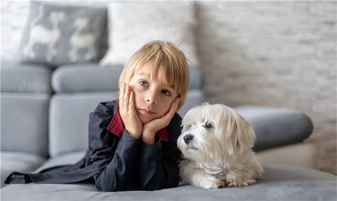 让狗上床睡觉很脏?兽医揭秘:脏不脏,看这里!