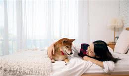 让狗上床睡觉很脏?兽医揭秘:脏不脏，看这里!