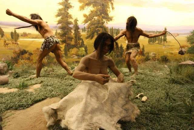 利用好狗狗的这个本能，才能训练出听话的狗狗哦