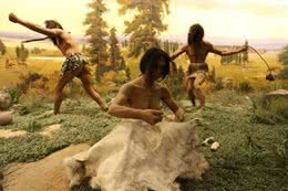 利用好狗狗的这个本能，才能训练出听话的狗狗哦