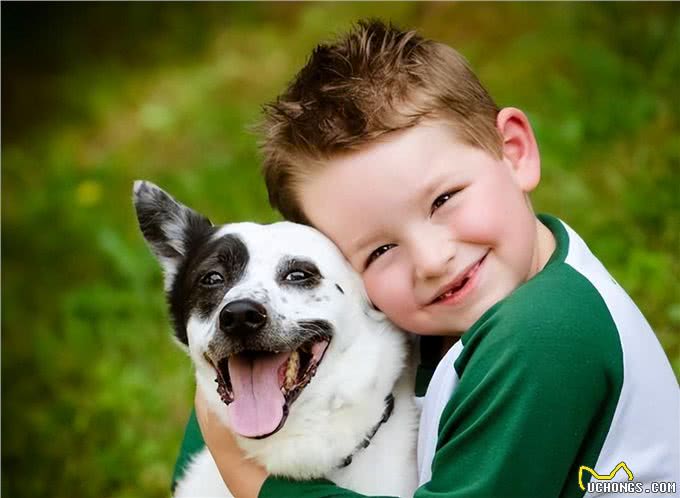 将狗狗关在室内圈养一辈子，会有这些后果!