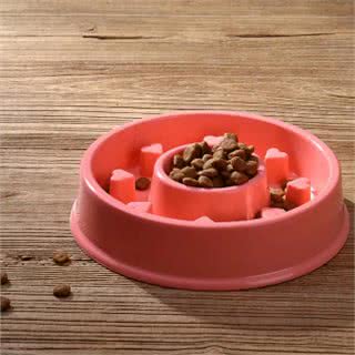 我的狗怎么又吐了?