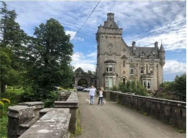 600多只狗先后在同一桥上一跃而下!英国这座桥为何成葬犬桥