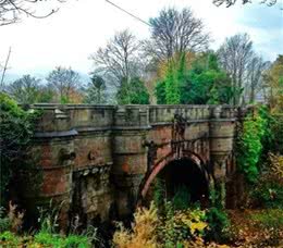 600多只狗先后在同一桥上一跃而下!英国这座桥为何成葬犬桥