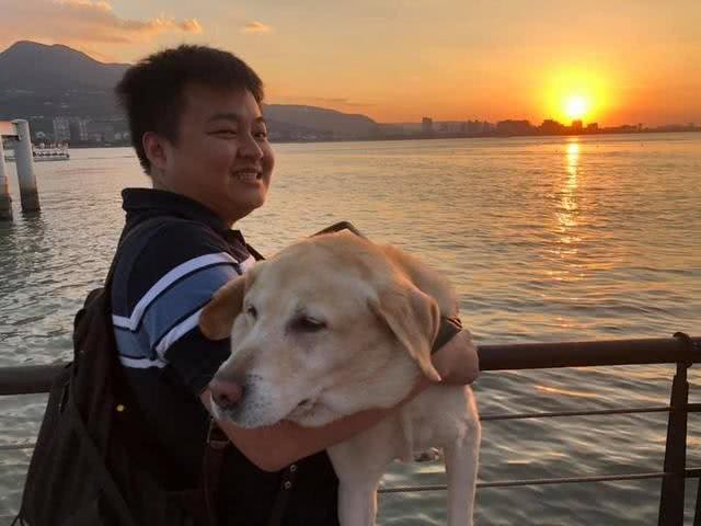 加油!新手导盲犬外出训练的一天，狗狗有点紧张但已经很棒