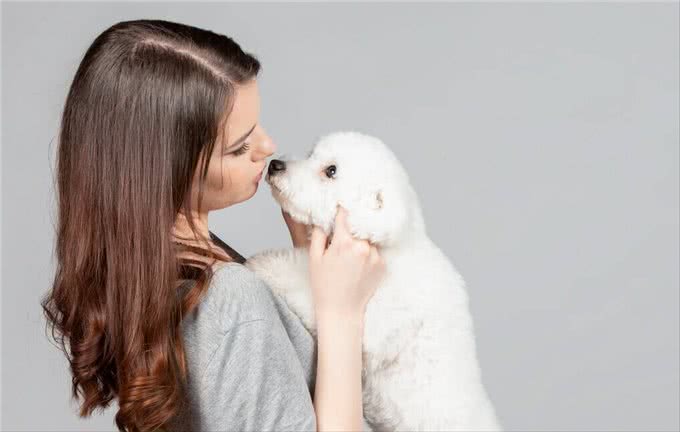 养比熊要注意的几个点，接受不了劝你别养