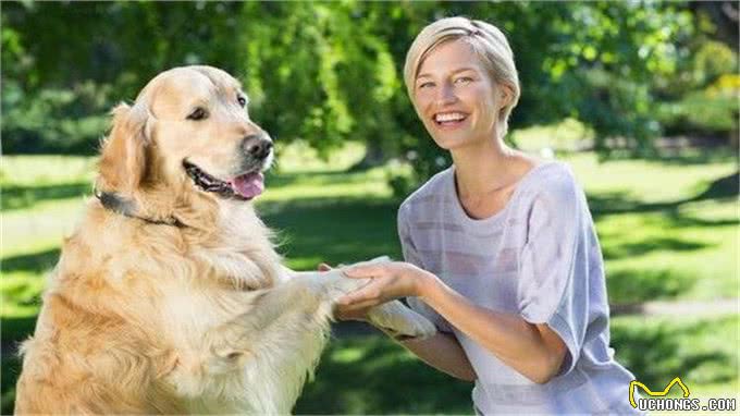 狗狗乱吃街边的东西?因为你没做这个训练