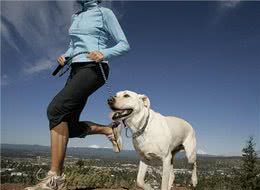 盘点狗狗最喜欢的运动项目，你家狗喜欢哪个?