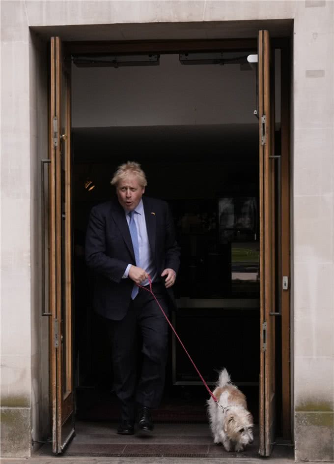 咦?约翰逊拉着他的宠物狗来投票