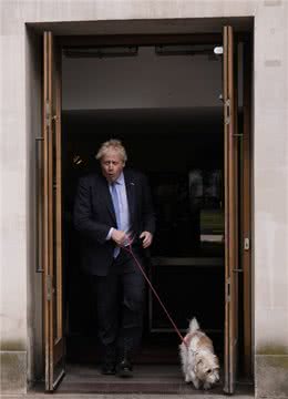 咦?约翰逊拉着他的宠物狗来投票