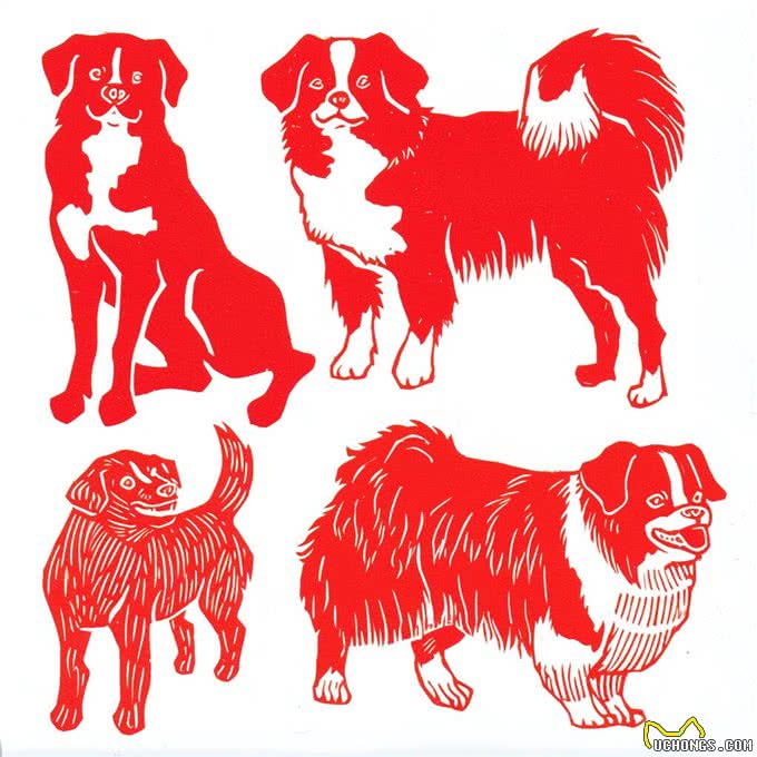 狗狗狗:十月迎来四囍临门，囍从何来，该如何把握?