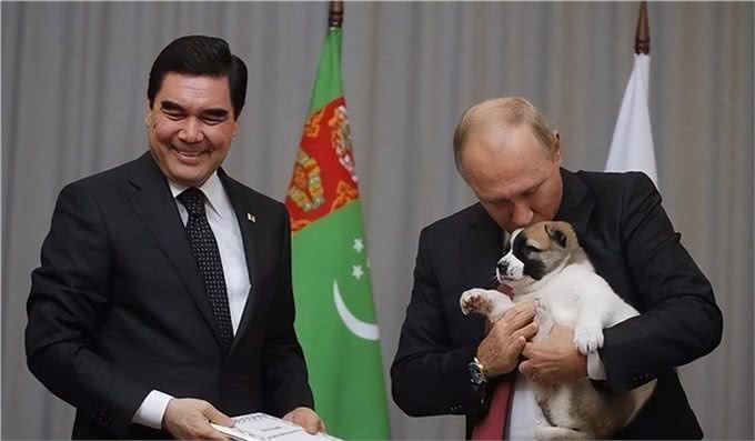 宠猫宠狗的最高境界，送它们去从政