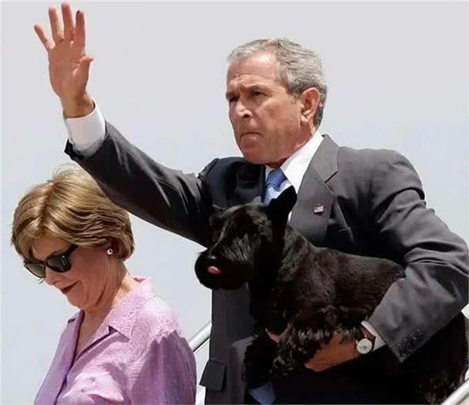 宠猫宠狗的最高境界，送它们去从政