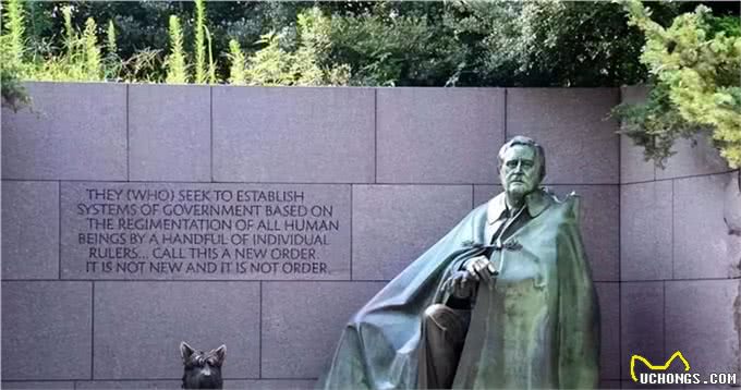 宠猫宠狗的最高境界，送它们去从政