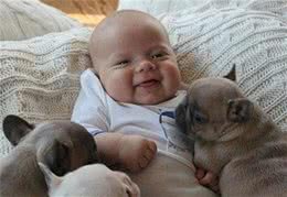 为什么母狗喜欢把幼犬叼到主人面前?不只是省事，还有这些含义