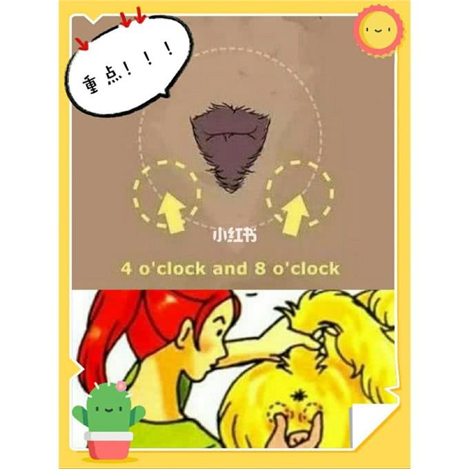 狗狗要不要挤肛门腺?