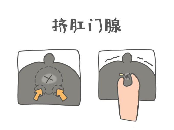狗狗要不要挤肛门腺?