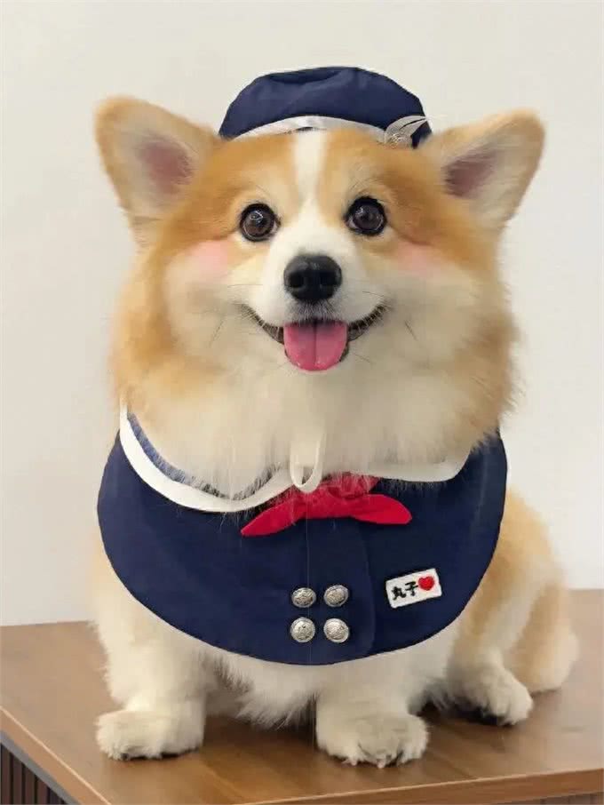 养宠物可以带来许多好处