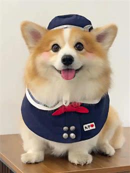 养宠物可以带来许多好处