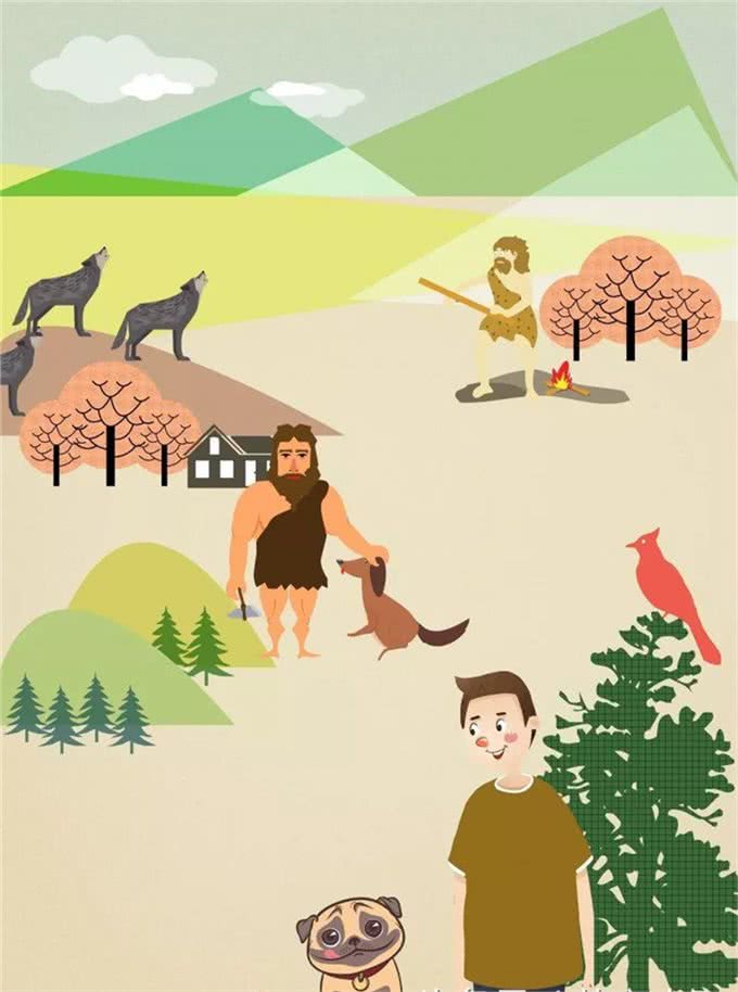 冷知识|狗狗花了数千年才能消化碳水化合物