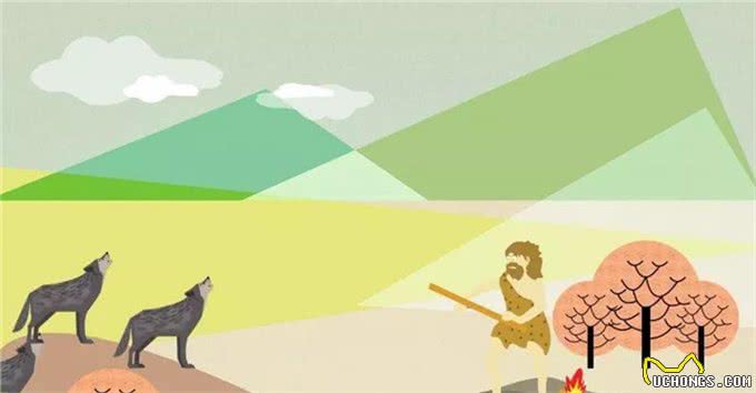 冷知识|狗狗花了数千年才能消化碳水化合物