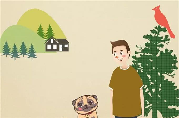 冷知识|狗狗花了数千年才能消化碳水化合物