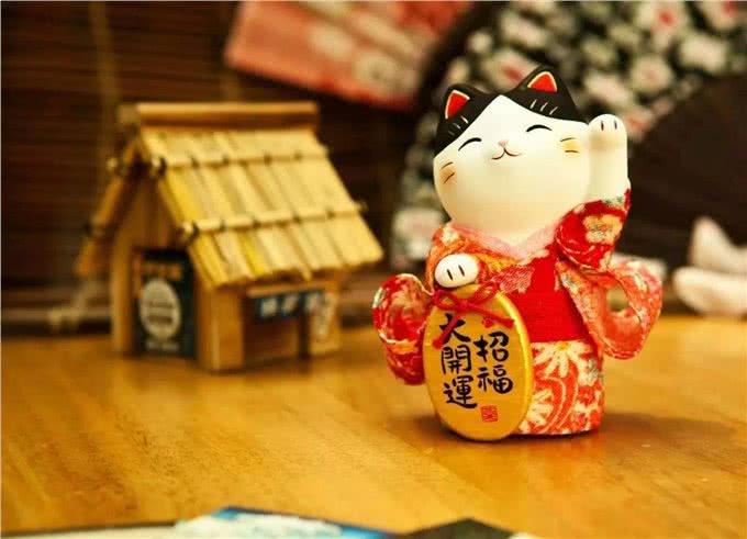 别小看你家里的那只猫,它可能比你更有前途