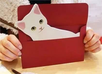 别小看你家里的那只猫,它可能比你更有前途