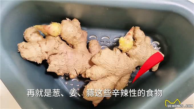 为了狗狗的健康安全，饮食方面要注意，并不是百无禁忌