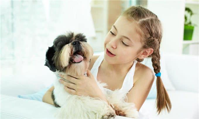 原来狗狗也有心理疾病，狗狗常见的5种心理疾病，你家狗狗有吗?