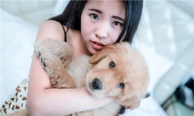 原来狗狗也有心理疾病，狗狗常见的5种心理疾病，你家狗狗有吗?