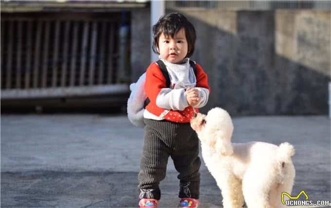 原来狗狗也有心理疾病，狗狗常见的5种心理疾病，你家狗狗有吗?