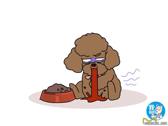 辟谣:狗狗时而呕吐不一定是肠胃的锅，别把膈疝和其它疾病混淆