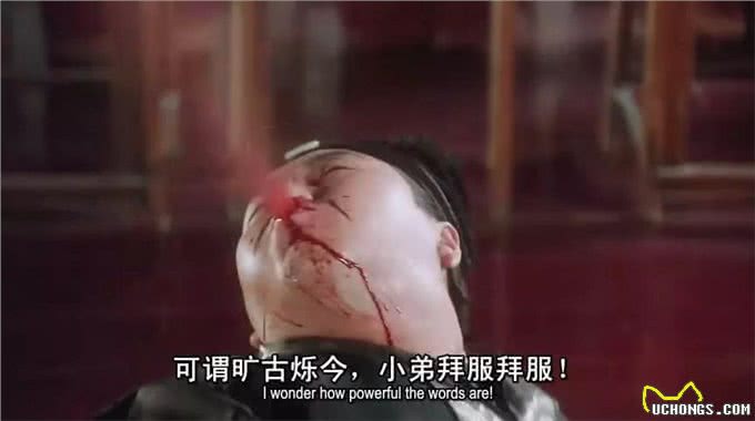 难怪代养宠物收费高,确实有风险,我已中招,被一条雪纳瑞犬坑了