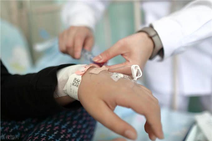 难怪代养宠物收费高,确实有风险,我已中招,被一条雪纳瑞犬坑了