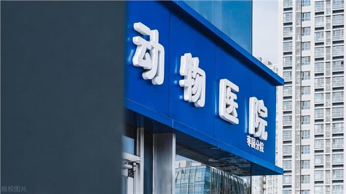 难怪代养宠物收费高,确实有风险,我已中招,被一条雪纳瑞犬坑了