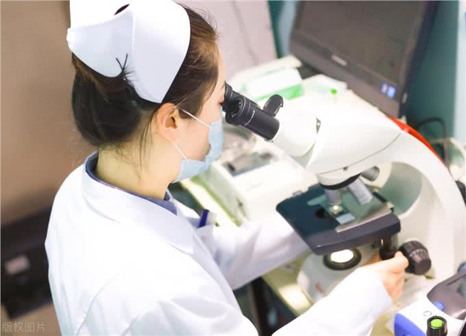 难怪代养宠物收费高,确实有风险,我已中招,被一条雪纳瑞犬坑了