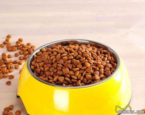 土狗拉肚子可以吃土霉素吗