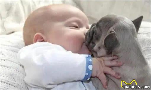 狗狗睡在这5个不同的地方,可能出问题了