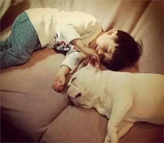 汪酱与小孩同在!适合陪伴小孩的狗狗