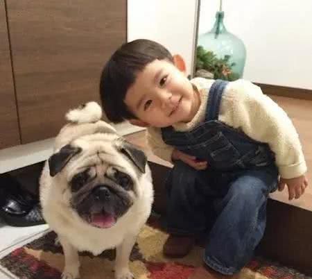 汪酱与小孩同在!适合陪伴小孩的狗狗