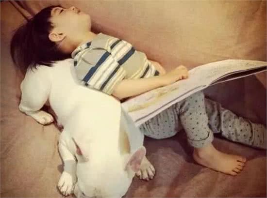 汪酱与小孩同在!适合陪伴小孩的狗狗