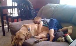 汪酱与小孩同在!适合陪伴小孩的狗狗